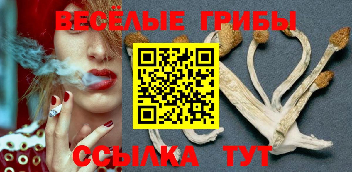 Псилоцибиновые грибы Psilocybine cubensis  цена наркотик  Вход с VPN  Боровичи  Псилоцибиновые грибы прущие грибы 
